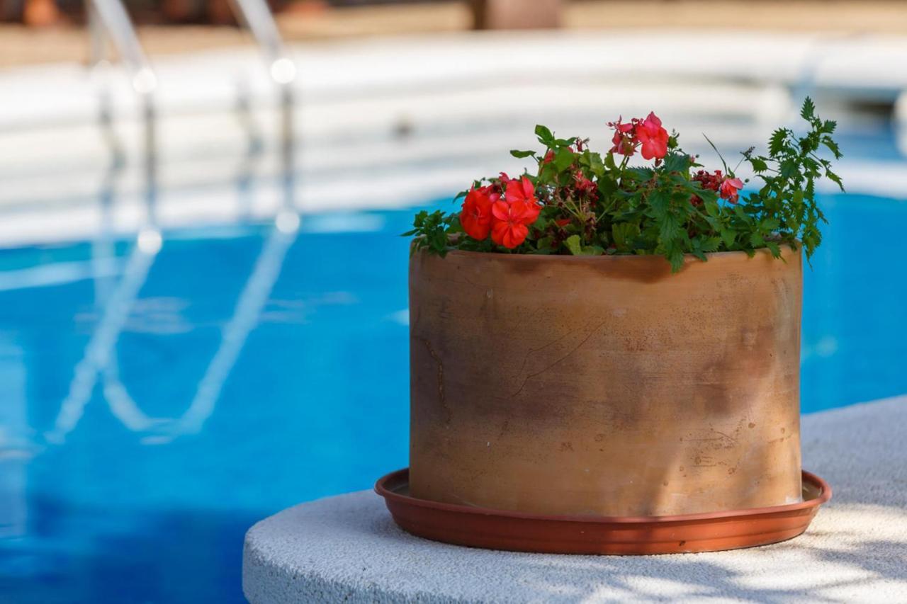 Casa Glorieta En Villa De Nijar Con Piscina 객실 사진